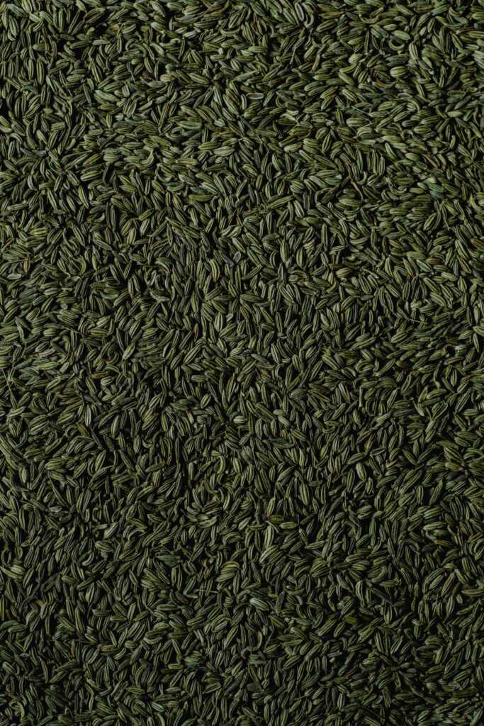 Fennel Seeds in Kashmiri Spice Blends scaled 1